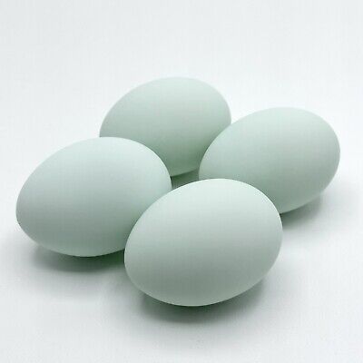 4 Cáscara De Huevo De Pato Soplada Vacía | Huevos De Tinte Grabado De Pascua Pysanky Ostara | Un Agujero • 14.68€