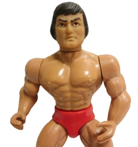 1985 SUPER SAM Wrestlers of the World Sparkle Action Figure AWA MOTU soft head - Picture 1 of 12