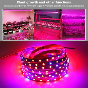 0.5M-5M Waterproof 5050 Grow LED Flexible Strip Tape Light 3 / 4 / 5 Red 1 Blue - Picture 1 of 9