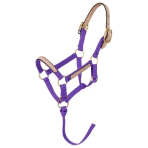 Neu! Tough-1 Miniatur MINI PFERD NYLON ABBRECHHALFTER mit Einstellungen 4 FARBEN - Bild 1 von 16