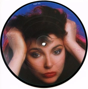 KATE BUSH “The Big Sky” UK PICTURE DISC (45 RPM) 7" Vinyl Record MINT - Picture 1 of 2