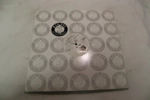 SHYNE "BAD BOYZ" HIPHOP 12" VINYL PROMO SINGLE 2000 BAD BOY ENTERTAINMENT - Picture 1 of 4