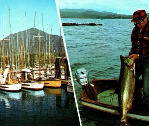 Vancouver Island British Columbia Canada Fishing Boat Port Vintage Postcard - Picture 1 of 4
