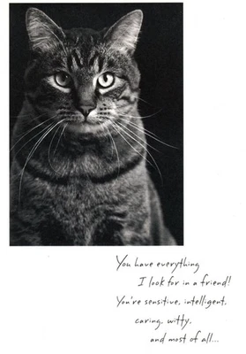 Funny Friendship Best Friend Witty Like My Tabby Cat Hallmark Greeting Card - Image 1 of 3