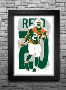 ED REED art print/poster MIAMI HURRICANES FREE S&H! JERSEY B2G2 - Picture 1 of 6