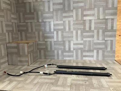 2020-2023 Land Rover Discovery Sport Trunk Lid Power Lift Shocks Factory OEM - Image 1 of 4