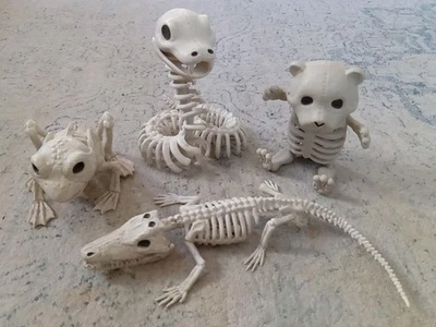 Lote de 4 esqueletos de animales de Crazy Bonez oso de peluche, serpiente, sapo y caimán Foto 1 de 4