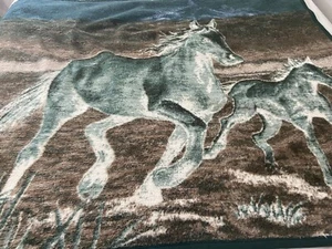Biederlack Pferd Stute Fohlen Wendedecke Überwurf 54 x 46 USA - Bild 1 von 7