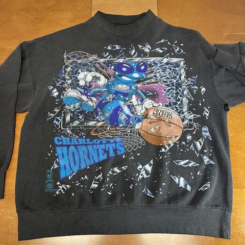 Vintage Charlotte Hornets Sweatshirt Mens Large Changes 1993 NBA USA Cover