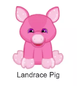 Webkinz Classic Next Landrace Pig *Classic Code Only* READ DESCRIPTION - Picture 1 of 3