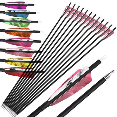 Archery Carbon Arrows SP500 4" Turkey Feathers 28" 30" 31" Recurve Bow Hunting - Image 1 of 4