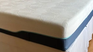 Zipped Mattress Encasement Protector | Total Cover for Anti Bug Bed Protection - Picture 1 of 6
