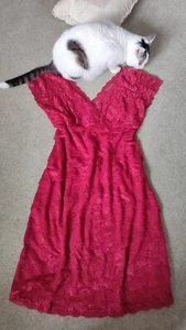 JS Collections Red Rose Flower Lace Sequin Dress Bodycon - Approx UK 16/18 - Picture 1 of 8