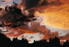 Sky On Fire FOUND PHOTOGRAPH Color FREE SHIPPING Original Snapshot 08 29 ZZZZ