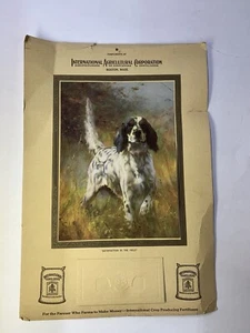 Rare 1931 International Fertilizers calendar Hunting Dog Print By Artist. READ - Picture 1 of 24