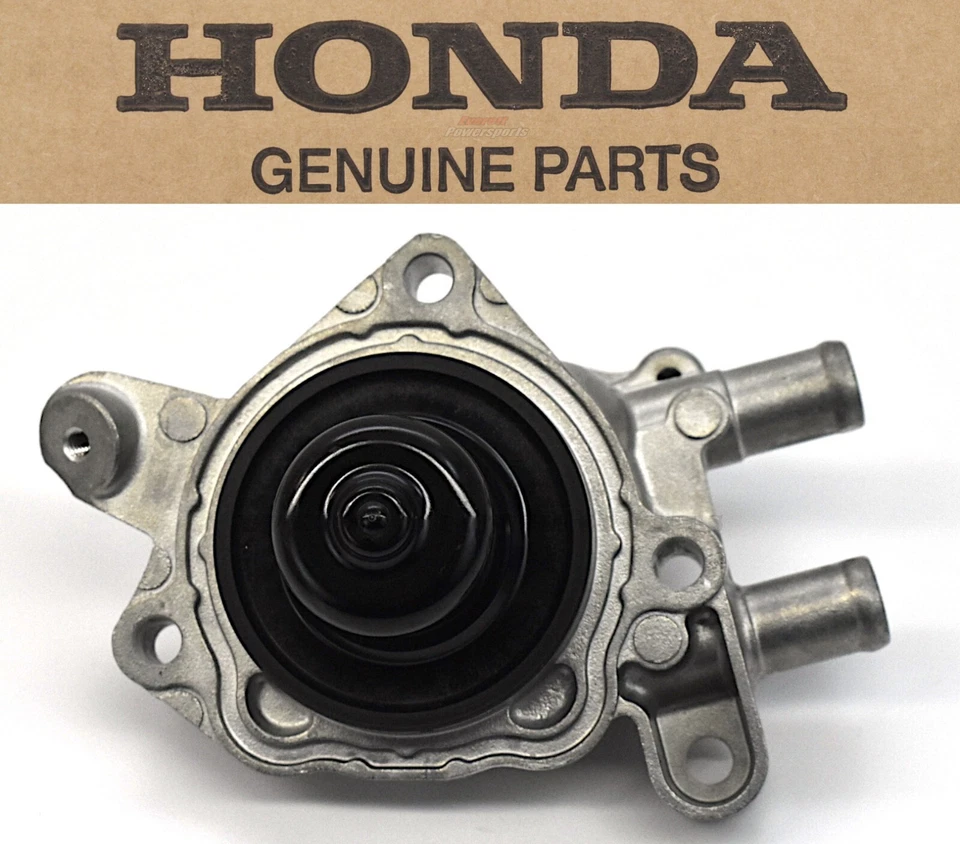 Conjunto de bomba de agua Metropolitan 02-09 Ruckus 03-23 OEM Honda #J229 Foto 1 de 4