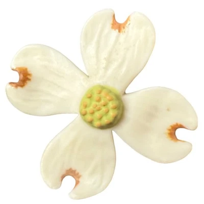 Broche flor madera de perro blanco flor naturaleza Foto 1 de 2
