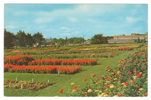 State College Pennsylvania Flower Gardens Pennsylvania State University Postcard - Picture 1 of 2