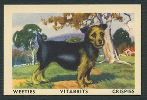 AUSTRALIAN TERRIER 1950'S WEETIES VITABRITS TAILWAGGERS DOG TRADE CARD #46 - Picture 1 of 2
