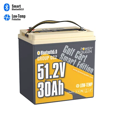 Batería Power Queen 48V 30Ah Bluetooth Baja Temperatura LiFePO4 100A BMS Para Carro de Golf Foto 1 de 4