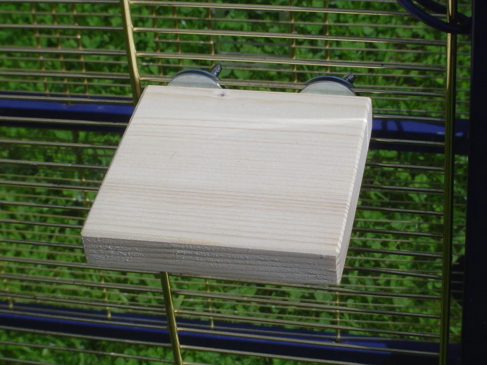 pipano Sitzbrett 10 x 10 cm für Vogelkäfig, Schlafplatz, Kanarienvogel SB1010