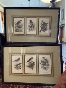 J. Wolf & J. Smith Lith. M&N HANHART IMP. VIINTAGE BIRD ART Framed Set Of 2 NICE - Picture 1 of 17