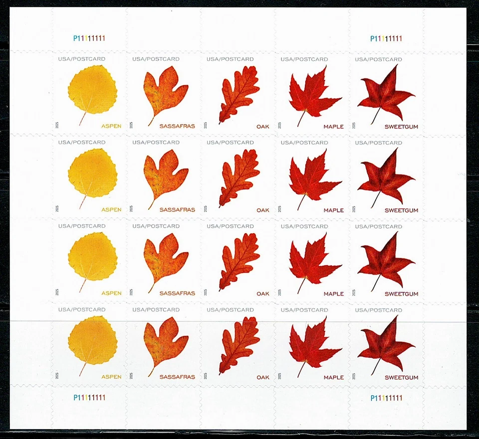 Mint US Postcard Rate Vibrant Leaves of 20 Stamps Scott# 5966-5970 (MNH) - Image 1 of 1