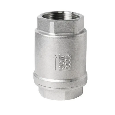 1/2 inch For BSP Female Thread 304 Cast Check Valve for Water Applications - Image 1 of 4