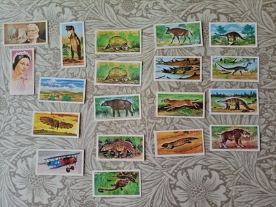 19x Brooke Bond Tea Cards (Various) - FREE POSTAGE - Image 1 of 2