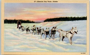 SIBERIAN DOG TEAM Alaksa AK winter scene linen animal - Postcard - Picture 1 of 2