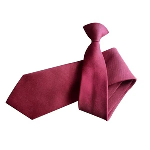 Men Women Simple Clip on Tie Uniform Plain Solid Color Pre-Tied Party Necktie - Picture 1 of 10