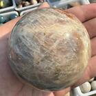 1Pc Natural Sun And Moon With Pyroxene Quartz Crystal Energy Healing Ball 65Mm+