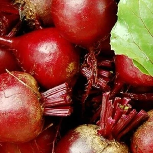 Dark Red Detroit Beet Seeds | NON-GMO Beet Seeds | Fresh Heirloom Garden Seeds - Picture 1 of 2