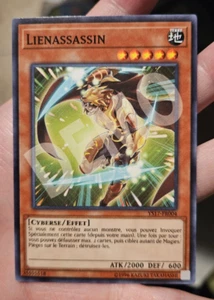 misprint linkslayer DEMO french yugioh ys17 error - Picture 1 of 1