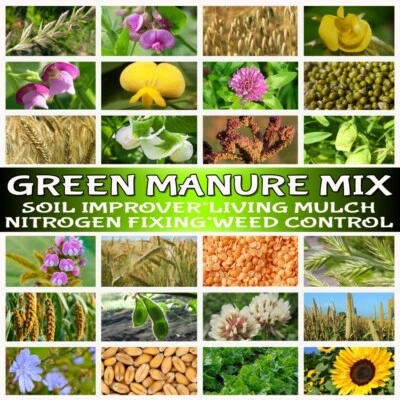 GREEN MANURE SEEDS-MINI MIX-COVER CROP-FLOWERS-VEGETABLES-HERB GARDEN PLANTS - image 1 of 4
