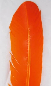 Turkey Wing Quill Craft Feathers dyed Orange per DOZEN - Picture 1 of 1