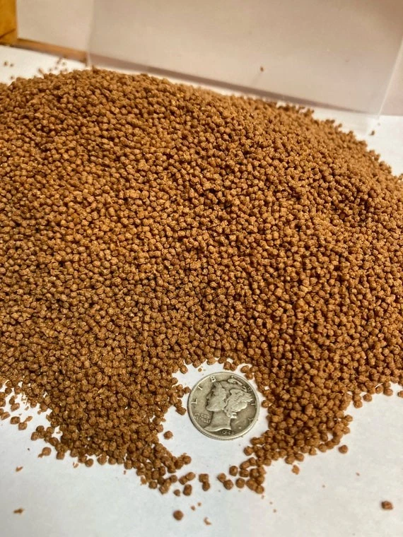 Betta Color Enhancing Pellets Betta Food 2.5g - Image 1 of 1