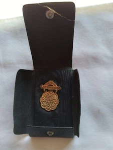 Odd Fellows Rebekah Badge Medal Pin Moon 7 Stars Beehive Dove Lily +CASE - Picture 1 of 4