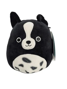 Squishmallow Monty The Black And White Border dog (5 inch) Brand New With Tags! - Picture 1 of 1