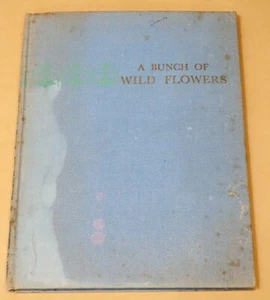 A BUNCH OF WILD FLOWERS by IDA RENTOUL OUTHWAITE HARD COVER - Bild 1 von 8