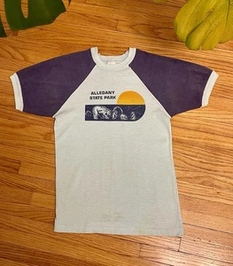 Camiseta Timbre Campamento Bosque Parque Estatal Allegheny Grande Juvenil Años 70 80 EE. UU. - Imagen 1 de 8