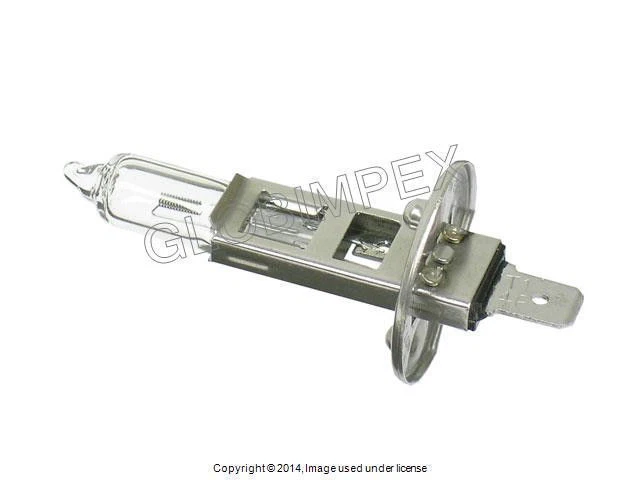 H1 Halogen Bulb (12V - 100W) HELLA +1 YEAR WARRANTY - Image 1 of 1