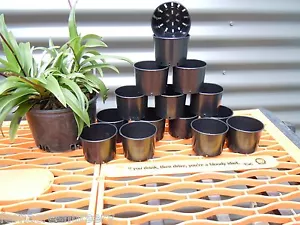 FAON FERN/Orchid 80mm x 15 Port squat Pots, the original and the best. - Picture 1 of 1