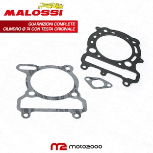 GUARNIZIONI MALOSSI GRUPPO TERMICO CILINDRO 74 YAMAHA MAJESTY VERSITY XC 250 300 - Imagen 1 de 4