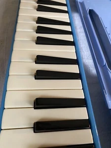 BESTLER MELODICA 32 Key. Blue with Blue Carrying Case. Vintage. Open Box Unused - Picture 1 of 10