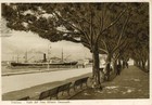 Cartolina Paesaggistica Sicilia Siracusa Viale Vittorio Emanuele Viaggiata 1939