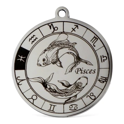 Pisces Zodiac Pendant Stainless Steel Astrology Sign Fish Charm 33x30mm Focal - Image 1 of 4
