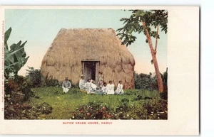 Como Nuevo Antiguo Hawaii View UDB ~ Hawaiian Home Hale ~ 1905 Wall Nichols #18 ~ Postal -L1 - Imagen 1 de 4
