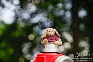 Meyer-Optik PRIMOTAR 135/3.5 | M42 | Trioplan bubbly bokeh - SAMPLES - Picture 1 of 16