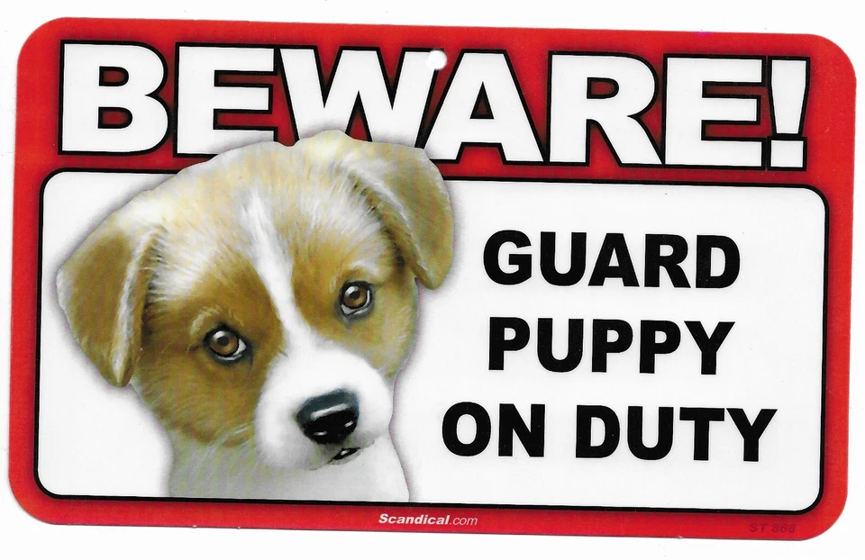 Scandical Plastic Beware! Guard Dog On Duty Mulitple Breeds - Image 1 of 4